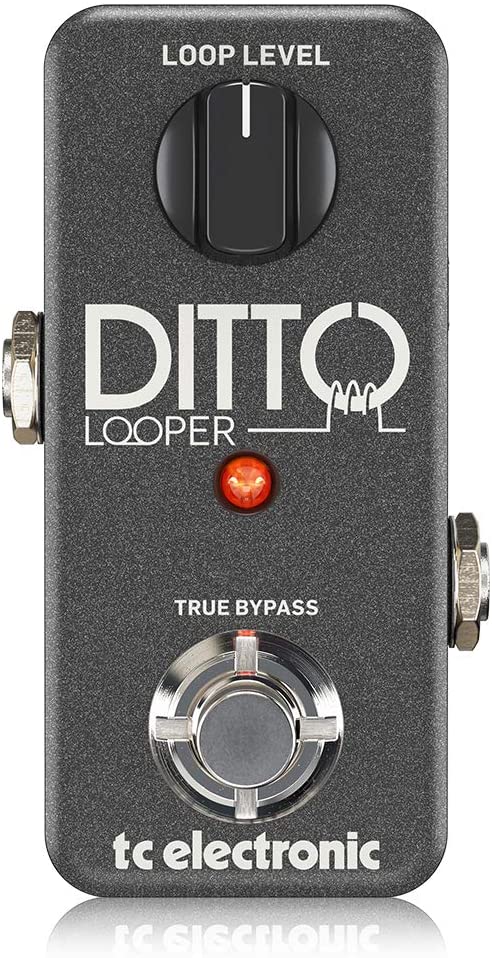 ditto looper mini