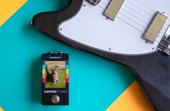 walrus audio canvas tuner screen